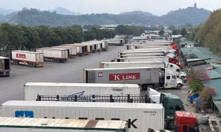 Kết luận mới nhất của lãnh đạo Chính phủ về Nghị định 46