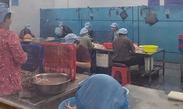 Phát hiện hơn 7 tấn chân gà quá hạn, không rõ nguồn gốc tại Đồng Nai
