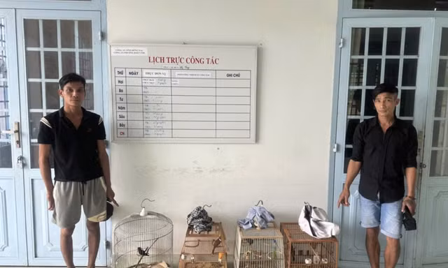 Trộm 4 lồng chim, hai đối tượng bị bắt