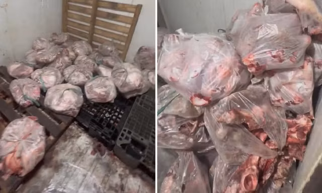 Chặn hơn 500kg thịt bốc mùi chuẩn bị tuồn ra thị trường
