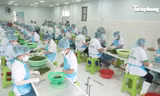 Kinh tế tư nhân - Động lực then chốt để Khánh Hòa bứt phá 