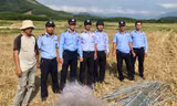 Chim yến bị săn bắt tận diệt, Khánh Hòa lập tổ phản ứng nhanh ở tất cả xã, phường