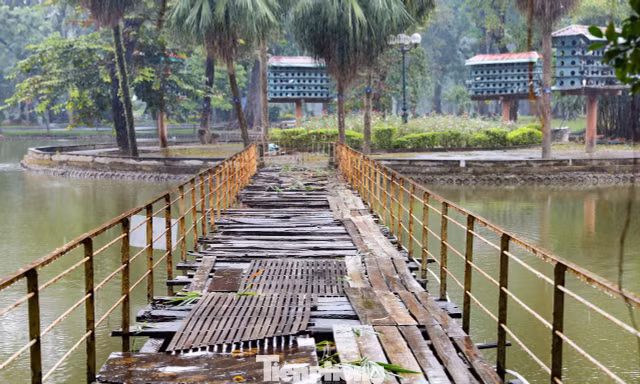 Vườn Bách Thảo xuống cấp nghiêm trọng, chờ ngày được tu sửa