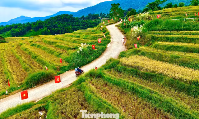 Check-in cung đường chữ S giữa 'biển vàng' gây sốt mạng xã hội