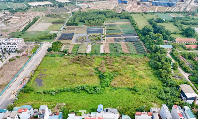 Cận cảnh khu đất hơn 2,6 ha được duyệt quy hoạch làm nhà ở xã hội tại Hà Nội