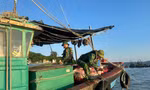 Quảng Ninh huy động hàng chục nghìn người, phương tiện ứng trực bão số 11