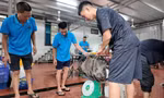 Chủ khách sạn ở Cô Tô mổ lợn rừng đãi gần 50 du khách mắc kẹt vì bão