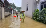 Hà Nội: Cận cảnh cuộc sống hàng trăm hộ dân vùng ngoại thành bị ngập sâu trong nước