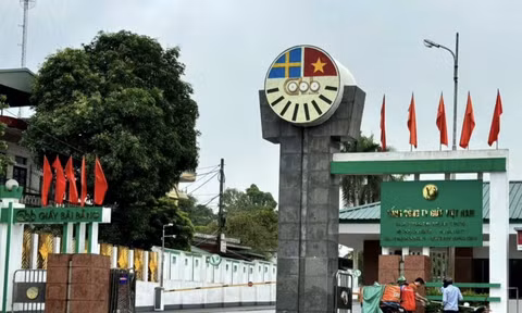 Thanh tra Chính phủ chỉ ra loạt sai phạm tại Tổng công ty Giấy Việt Nam