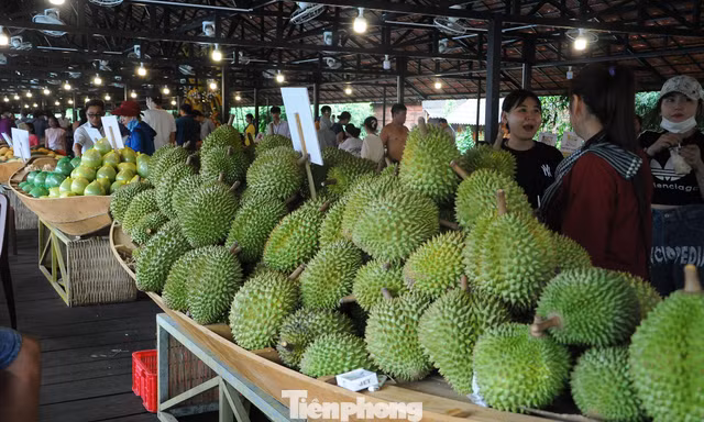 Tuần lễ trái cây miệt vườn quy mô lớn sắp diễn ra tại TPHCM