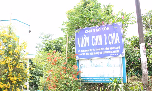 Sau lời khẩn cầu, sở ngành Vĩnh Long tìm cách bảo vệ vườn chim Hai Chìa