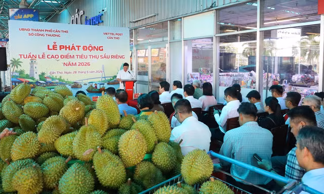 Cần Thơ 'giải cứu' sầu riêng