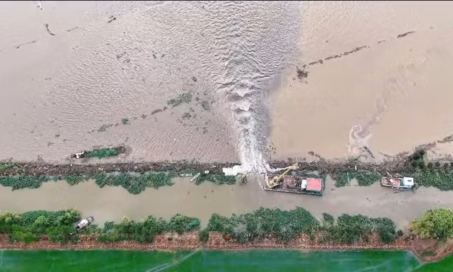 Vỡ đê bao ở Đồng Tháp nhấn chìm hàng trăm héc ta lúa