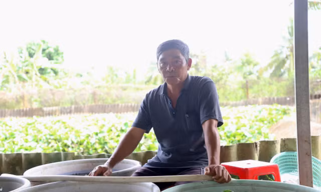 Người nông dân ở Cần Thơ nuôi con gì mà trở thành xuất sắc nhất Việt Nam? 