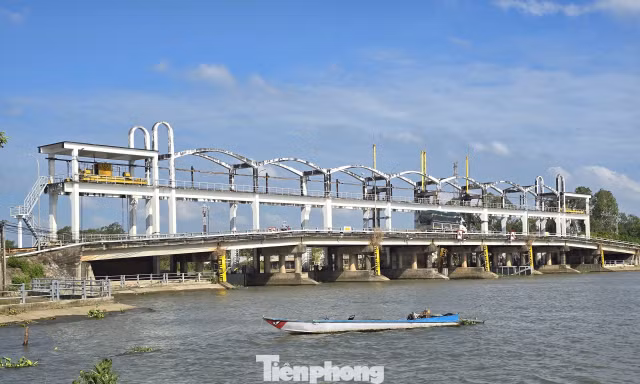 Xâm nhập mặn lấn sâu 40-60km ở Đồng bằng sông Cửu Long