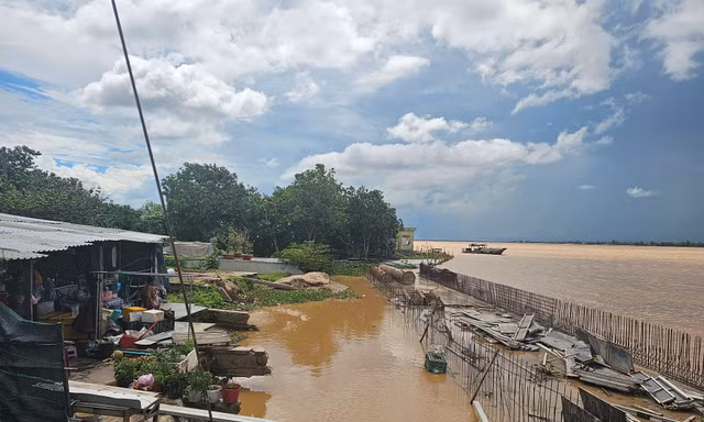 Đồng Tháp chủ động thích ứng với sạt lở do biến đổi khí hậu