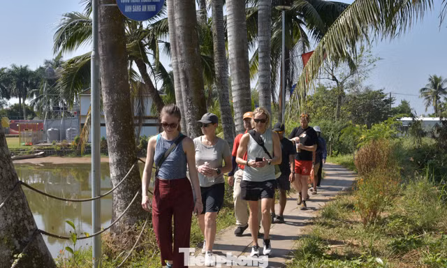 Khách Tây 'ăn Tết' sớm ở Cồn Sơn