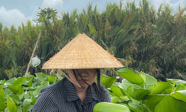 Giấc mơ xanh từ lục bình trôi dạt