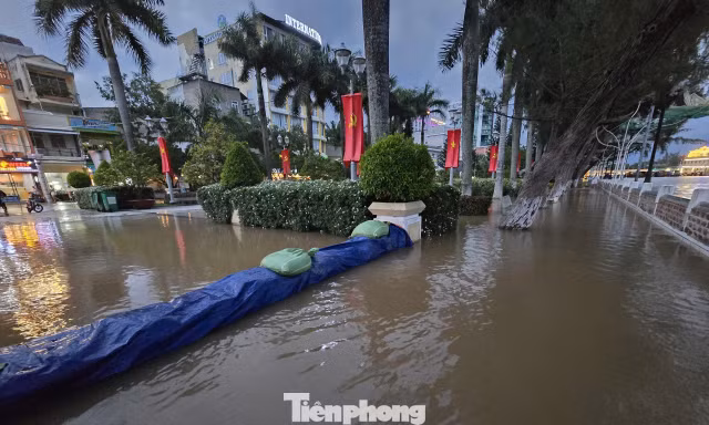 Nâng nền cho Bến Ninh Kiều để hết ngập