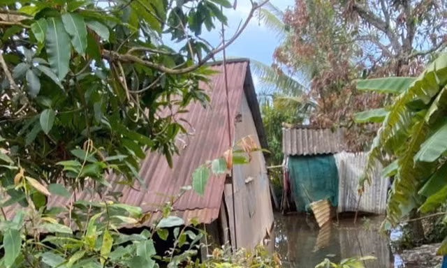 Hai mẹ con tử vong trong nhà vệ sinh