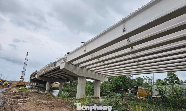 Đồng Tháp lập 3 Ban quản lý dự án chuyên ngành