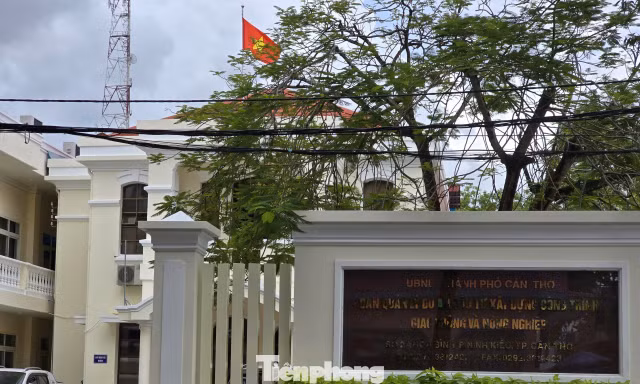Cần Thơ sắp xếp các ban quản lý dự án, sáp nhập Ban dự án ODA