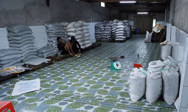 Kiểm tra cửa hàng vật tư nông nghiệp, thu giữ hàng chục tấn phân bón không phép