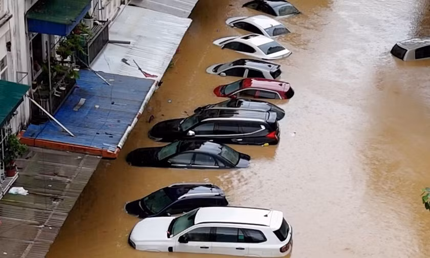 Sắp đấu giá lô xe ô tô bị ngập nước qua nóc, giá từ 2,02 tỷ đồng