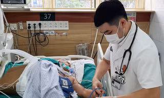 Người đàn ông tổn thương não, ngừng tim vì tự đắp thuốc lá khi bị rắn hổ mang chúa cắn