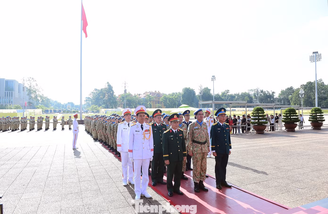 tp-doicongbinh-gingiuhoabinh8.jpg