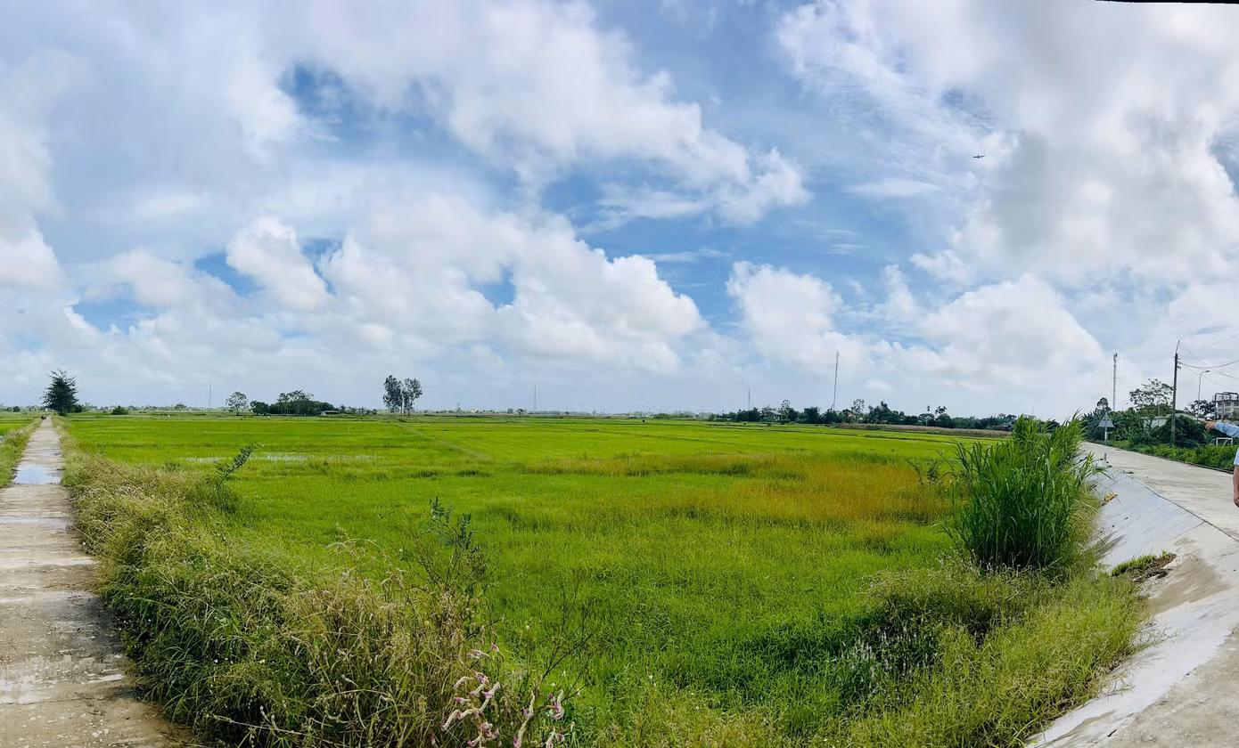 go-noi-khu-vuc-vu-kien-xay-dung-khu-tai-dinh-cu-phuc-vu-du-an-duong-sat-toc-do-cao-bac-nam.jpg