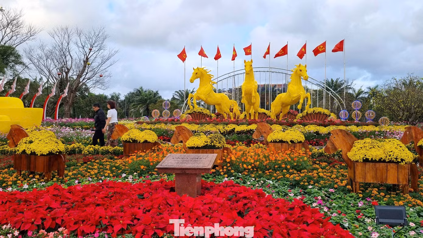 tp-ngua-vang-16.jpg