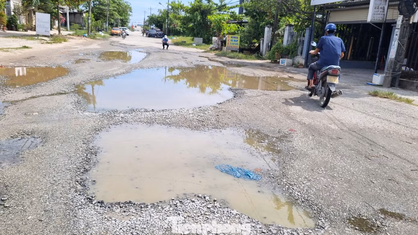 tp-a17-duong-quang-trung.jpg