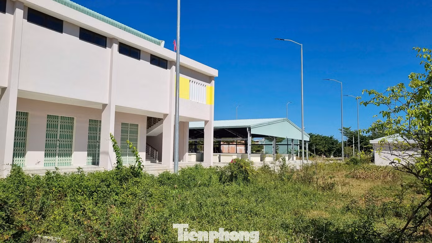 tp-3cho-30-ty-bo-khong.jpg