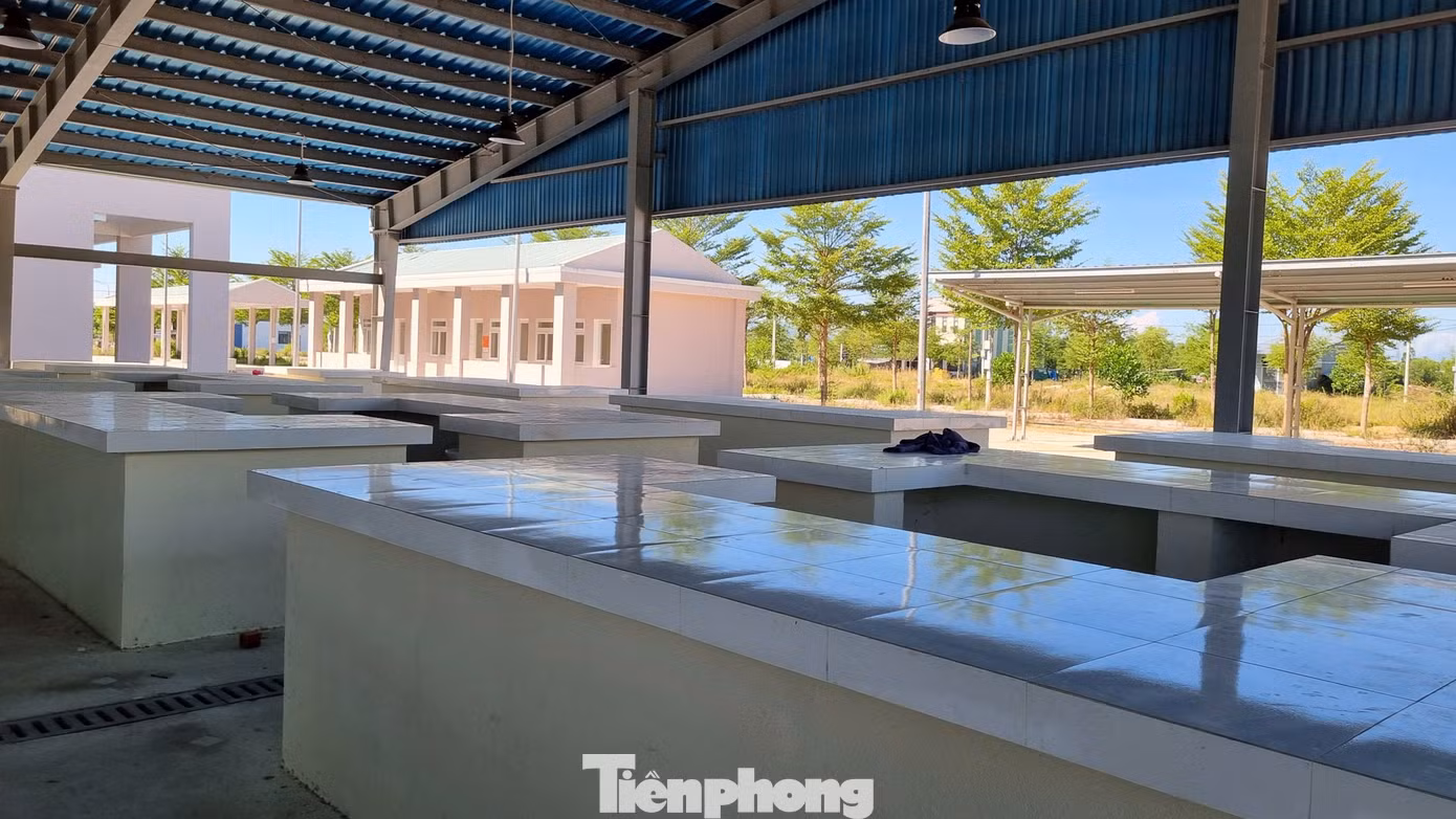 tp-23-cho-bo-khong-o-dn.jpg