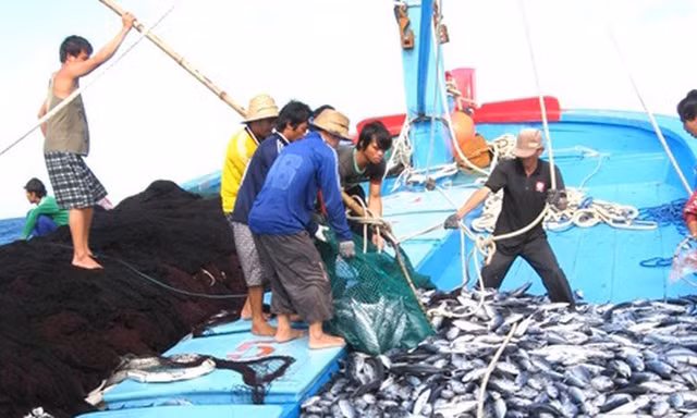 Đề xuất nâng mức phạt tới 2 tỷ đồng tàu cá khai thác trái phép ở vùng biển nước ngoài