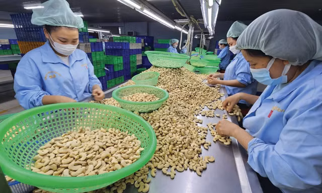 Nghịch lý mặt hàng top đầu thế giới của Việt Nam: Nhập khẩu cao hơn xuất khẩu