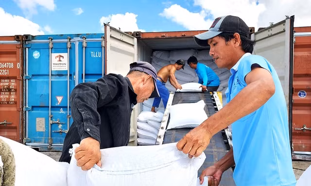 Philippines 'phanh gấp' nhập khẩu, gạo Việt chuyển hướng không ngờ