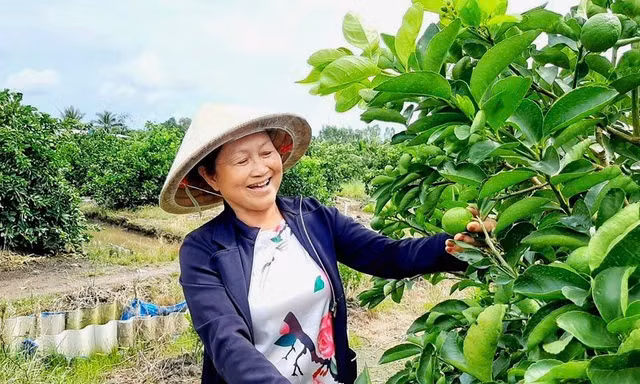 Những người giữ đất để nông sản Việt vươn xa