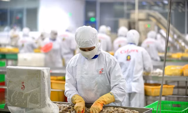 Vụ lỗi hệ thống chứng nhận xuất xứ hàng hóa: Cảm giác bế tắc vẫn chưa chấm dứt