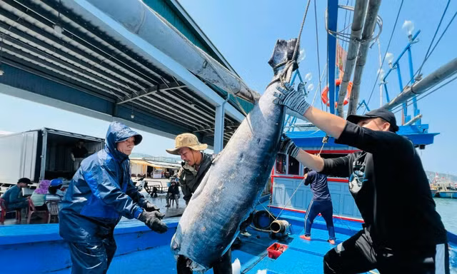 Gỡ thẻ vàng thủy sản: 'Chúng ta không còn chỗ cho sai sót'