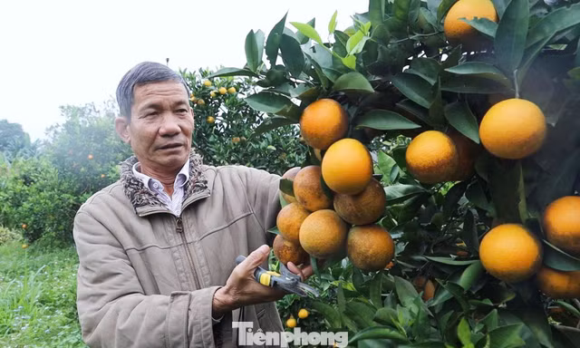 Lão nông Sơn La ứng dụng công nghệ, giúp nhiều người thoát nghèo