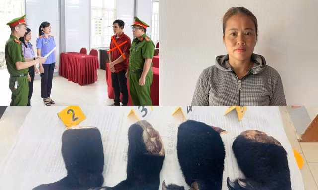 Mua tay gấu, mật gấu bán kiếm lời, hai đối tượng bị khởi tố