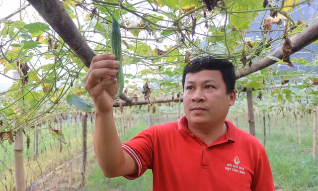 Người mở lối cho nông dân thoát nghèo