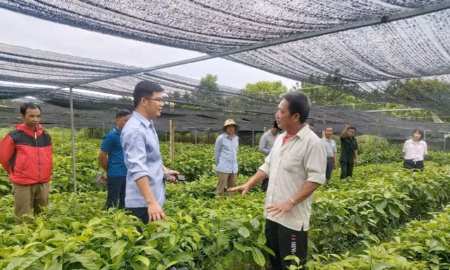 Chàng trai người Mường khởi nghiệp thành công với số vốn 15 triệu đồng