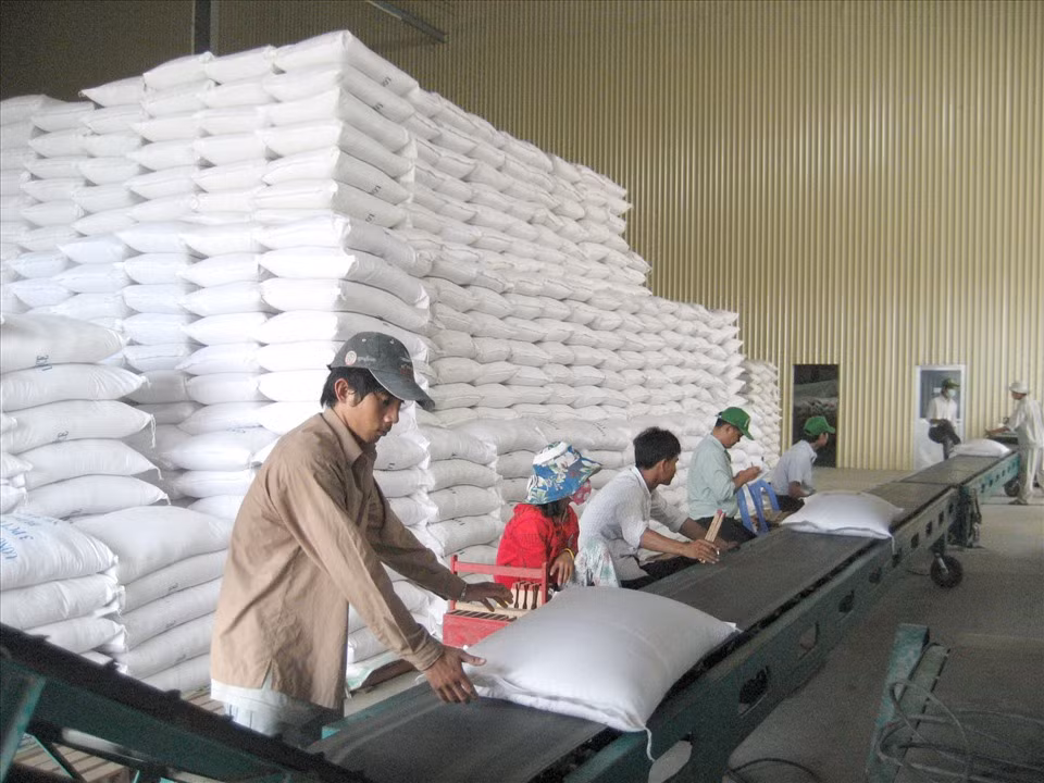lamgidebiennguythanh-03.png