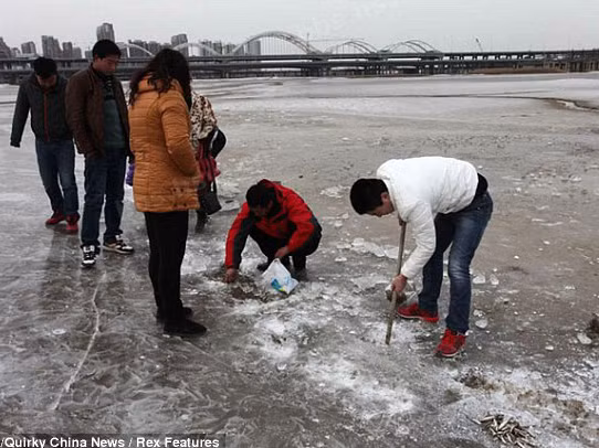 Người dân vui mừng phá băng lấy cá