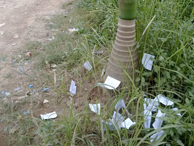 'Phao' thi vẫn xuất hiện