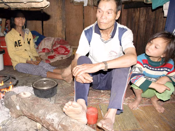 Sống giữa 'thánh địa' sâm vẫn nghèo nhất nước