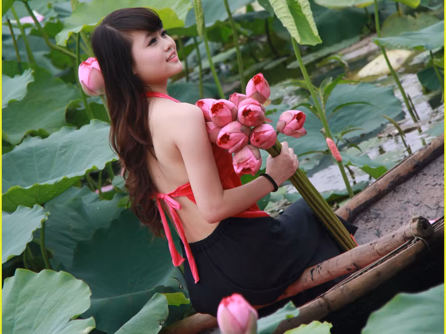 Yếm thắm, em e ấp bên sen hồng